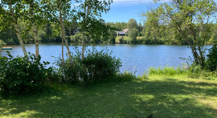 Vue sur le lac Almas depuis le terrain