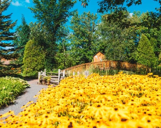 Les Jardins Scullion